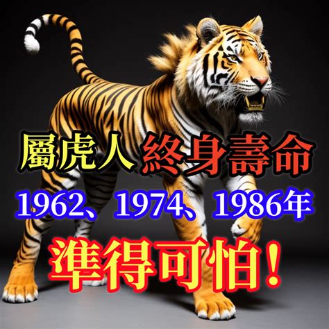 爐中火2024|【爐中火命虎】1986年爐中火命屬虎命理大公開！富貴由天定？